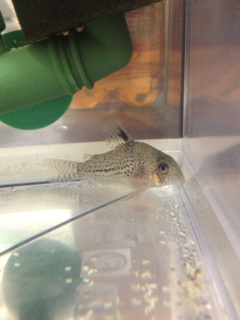 image-20120815111447.png